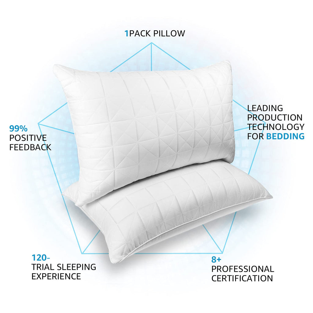 King Size Down Alternative Pillows Set of 2 I9566