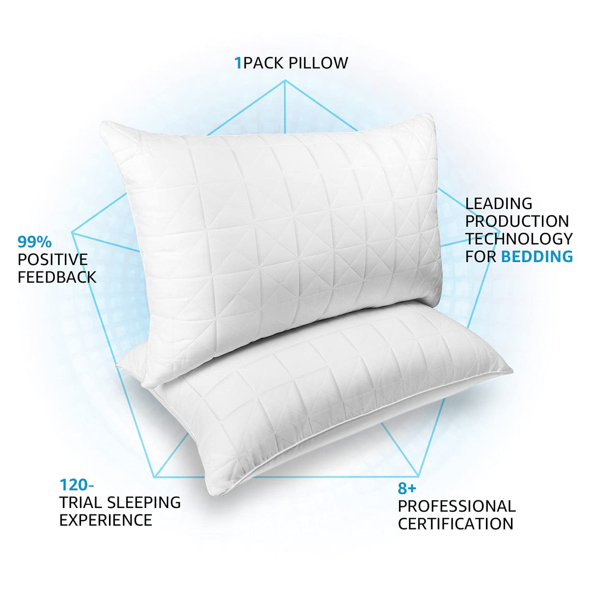 King Size Down Alternative Pillows Set of 2 I9566