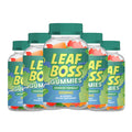 Hemp Gummy 5 Pack 300 Gummies W7949