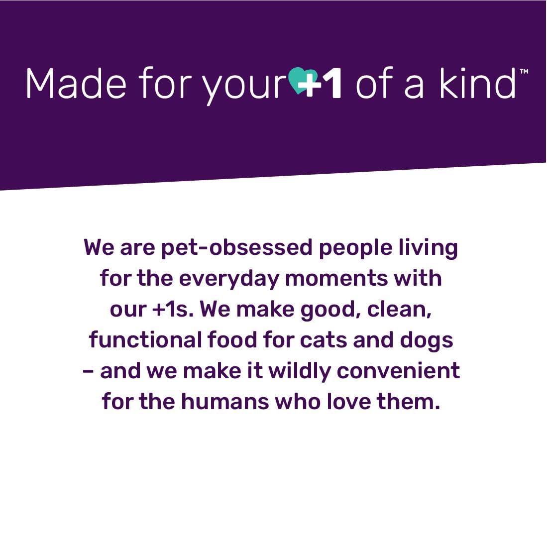Freeze-Dried Pet Food V20259