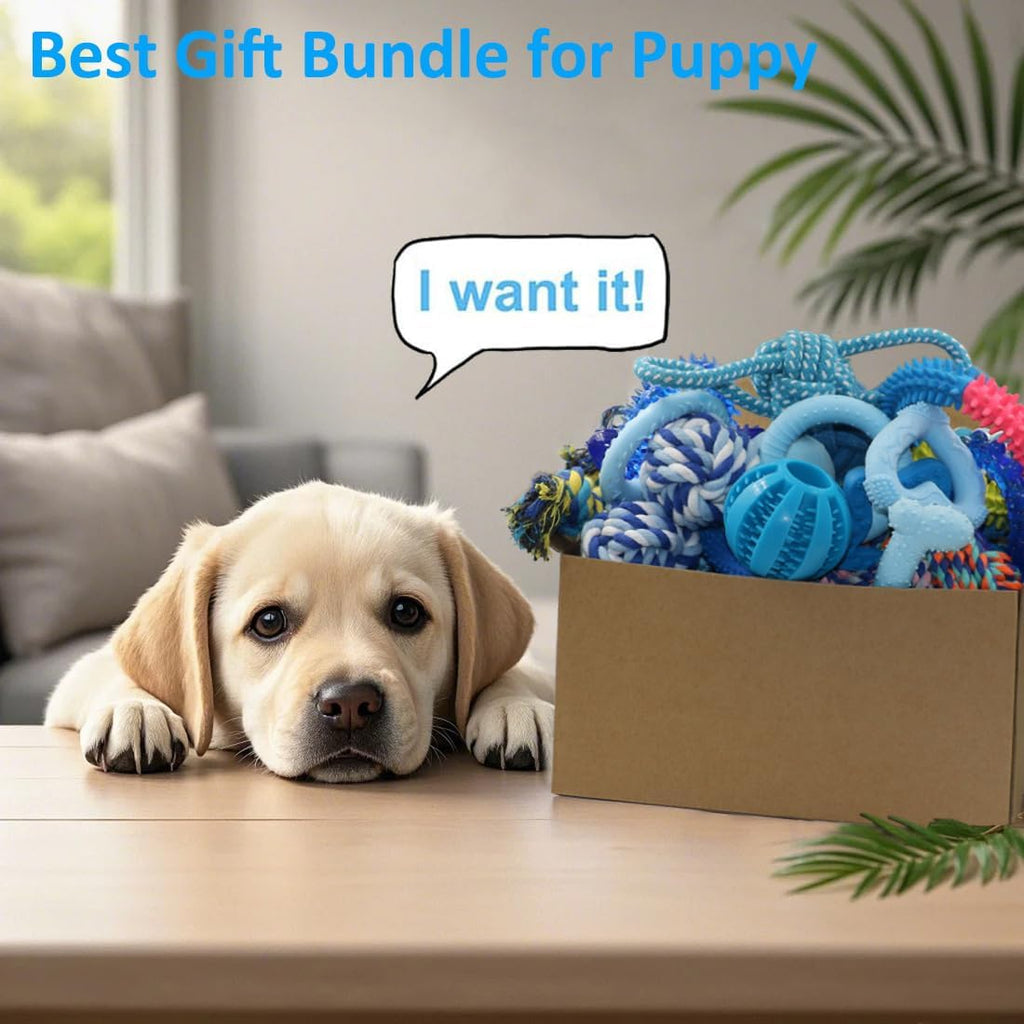 20 Pack Puppy Chew Toys M53253