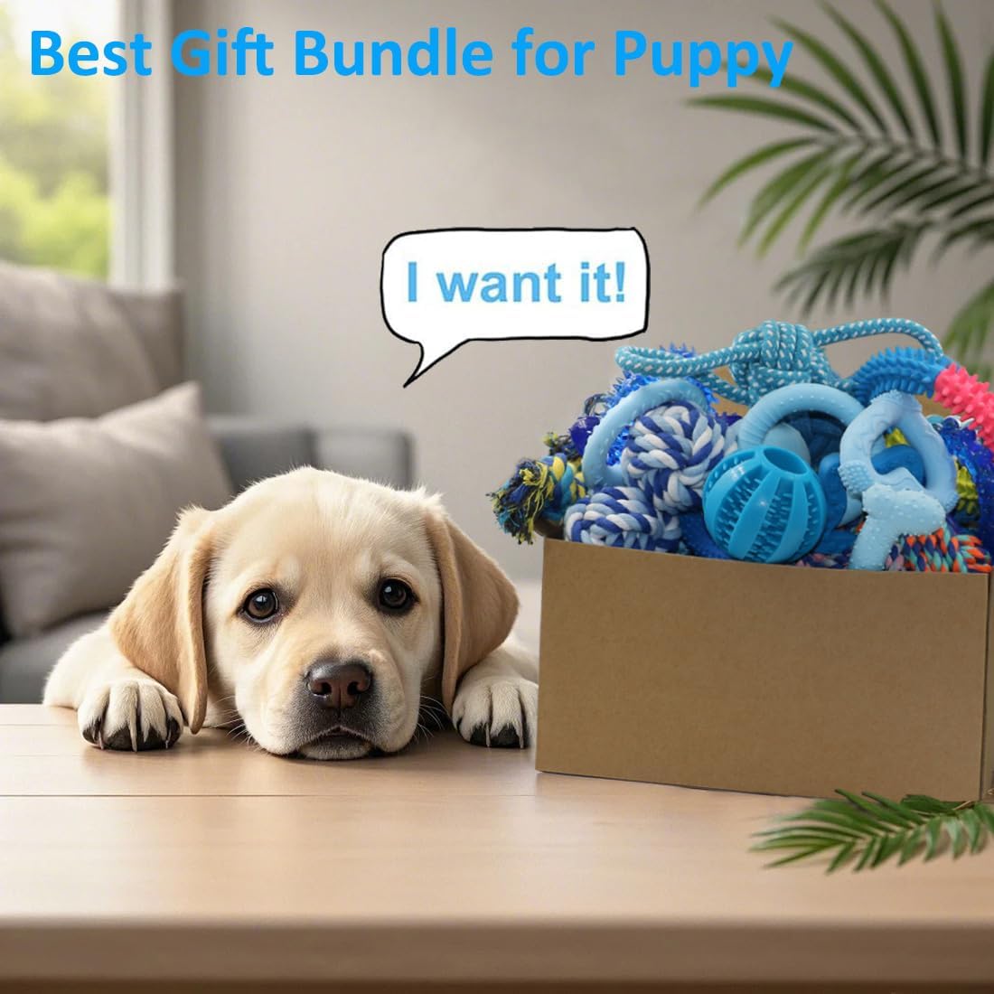 20 Pack Puppy Chew Toys M53253