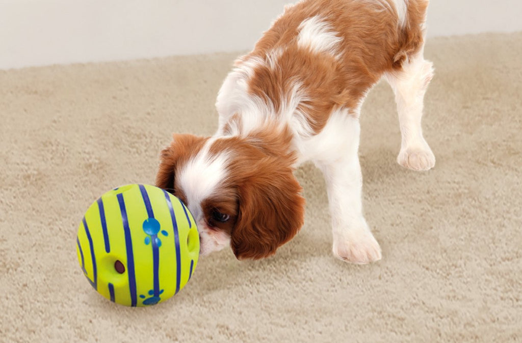 Interactive Dog Toy J3188