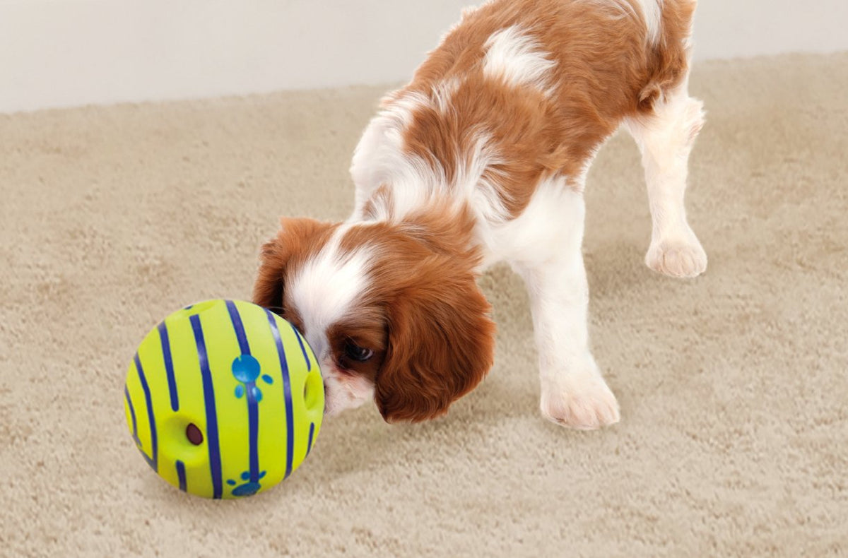 Interactive Dog Toy J3188