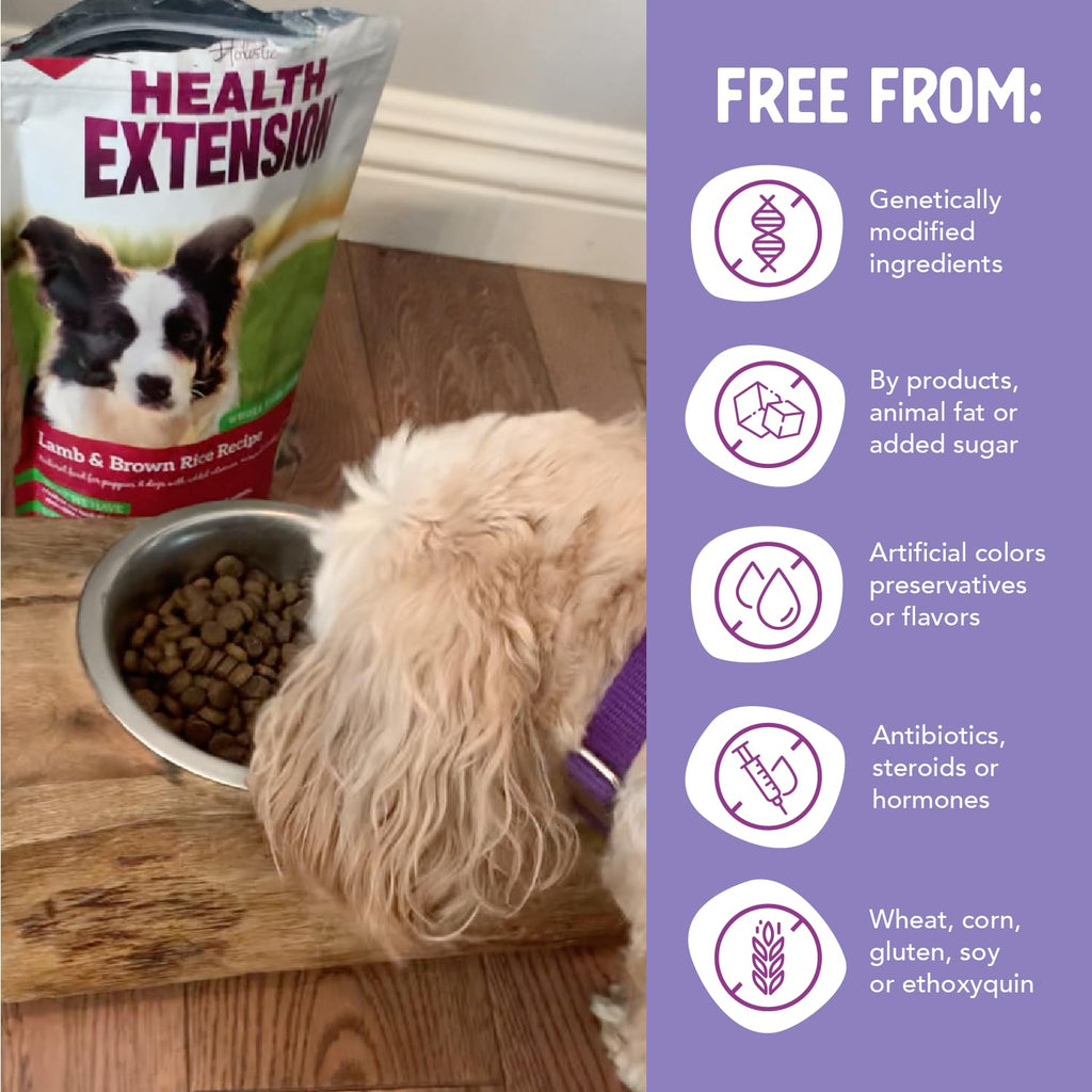 Lamb & Brown Rice Dry Dog Food with Probiotics 1 lb U5418