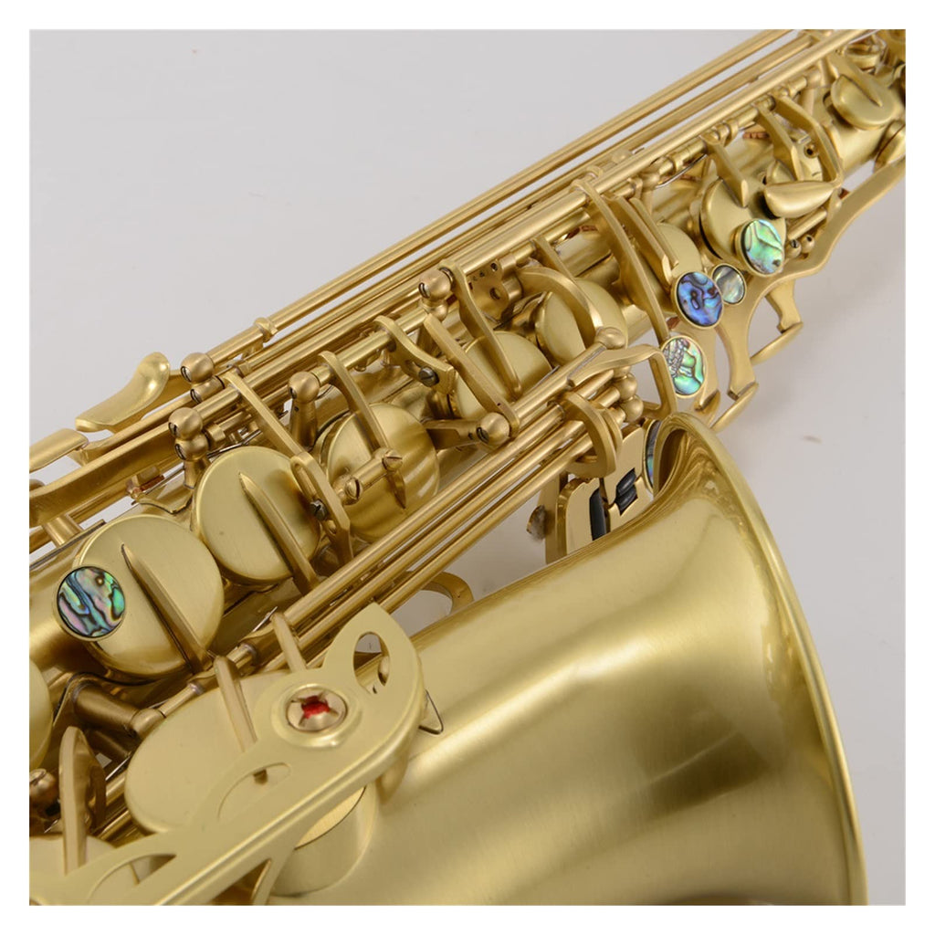Antique Brushed E Flat Alto Saxophone M414