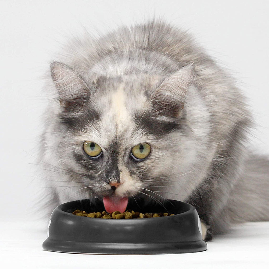 Grain Free Dry Cat Food Whitefish Kibble 2lb Bag M96148