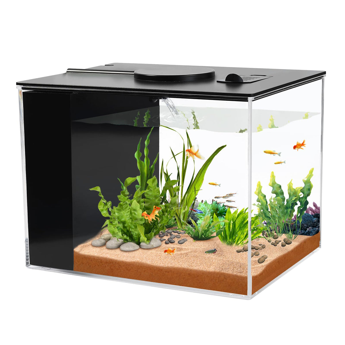 1 Gallon Betta Fish Tank with LED Light and Water Filter Pump V45301