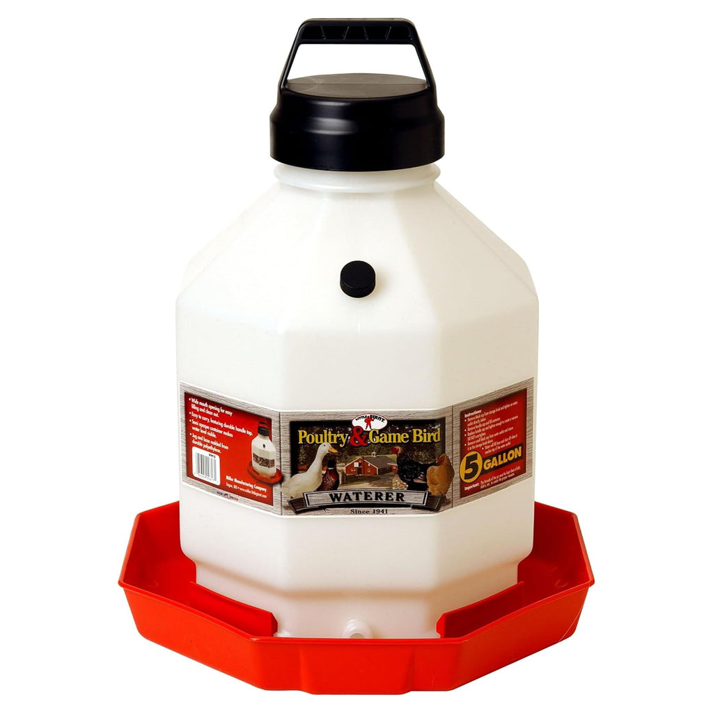 5 Gallon Translucent Plastic Poultry Waterer W474