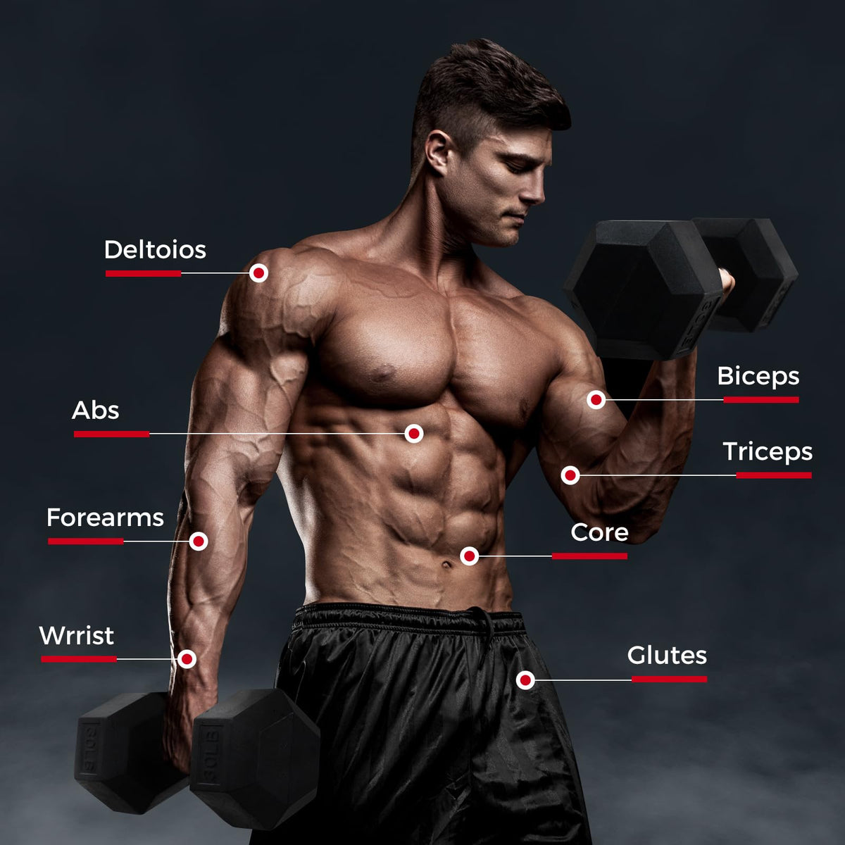 Rubber Coated Hex Dumbbell Set P266665