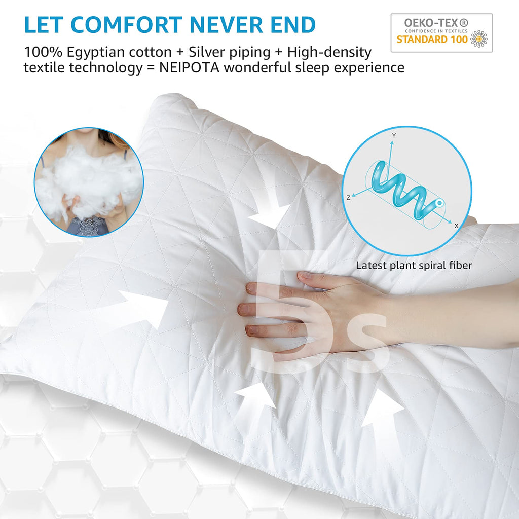 King Size Down Alternative Pillows Set of 2 I9566