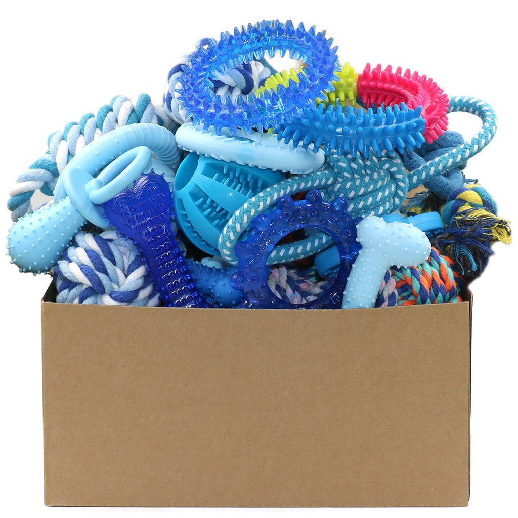 20 Pack Puppy Chew Toys M53253