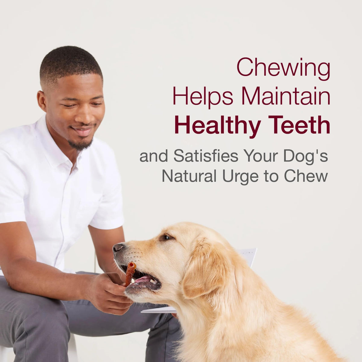Peanut Butter Pork Flavor Rawhide-Free Dog Chews 6 Twistz T761440