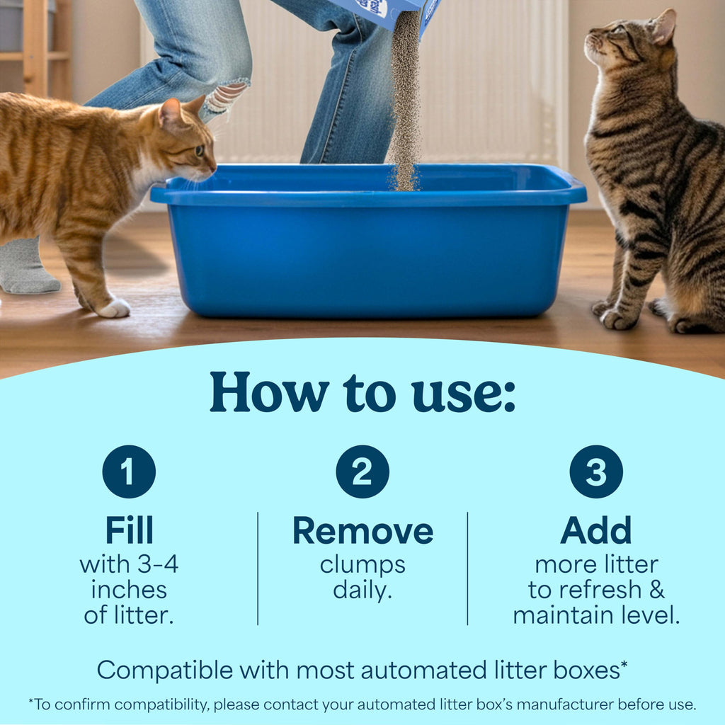 Clumping Multi Cat Litter with Carbon, 22 lb. B653