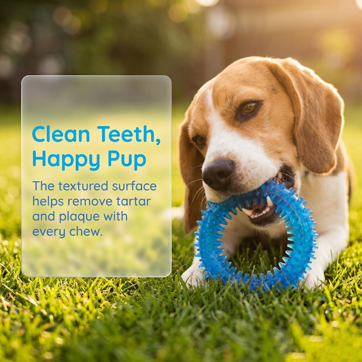 20 Pack Puppy Chew Toys M53253