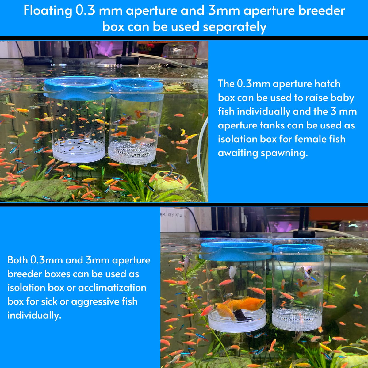 Breeder Box for Fish Tank Isolation Aquarium Separator Hatchery Incubator E369699