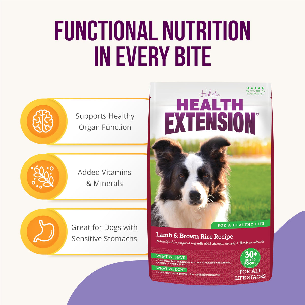 Lamb & Brown Rice Dry Dog Food with Probiotics 1 lb U5418