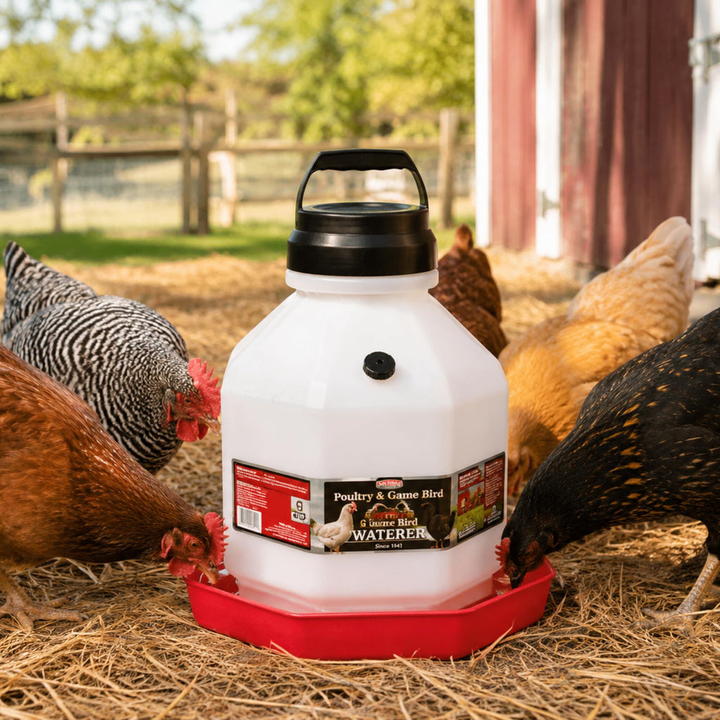 5 Gallon Translucent Plastic Poultry Waterer W474