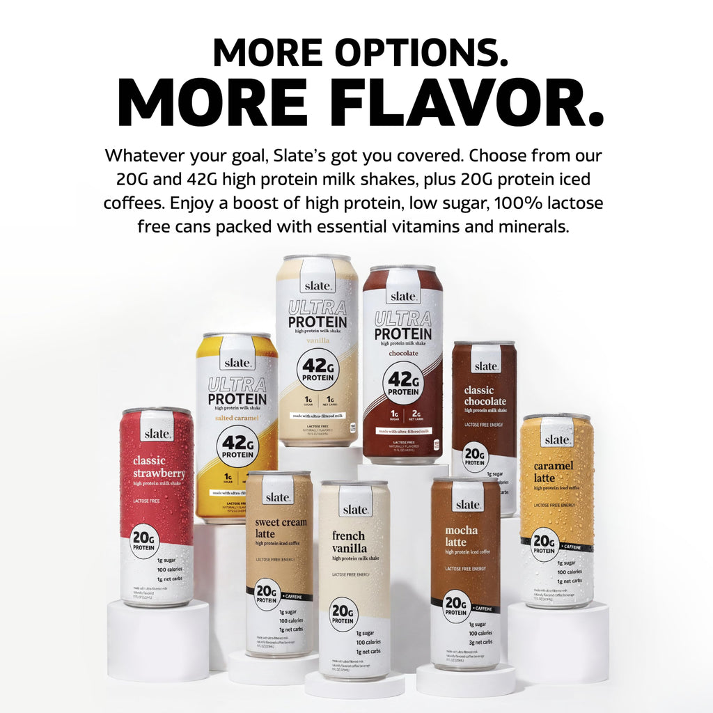 High Protein Milk Shake Classic Chocolate 12 Cans 11 fl oz R755