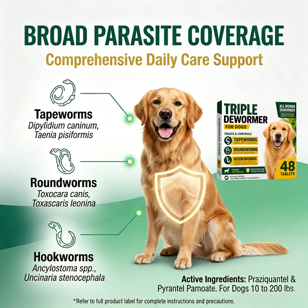 Pyrantel Pamoate and Praziquantel Dog Dewormer Tablet - 48 Tablets J609616