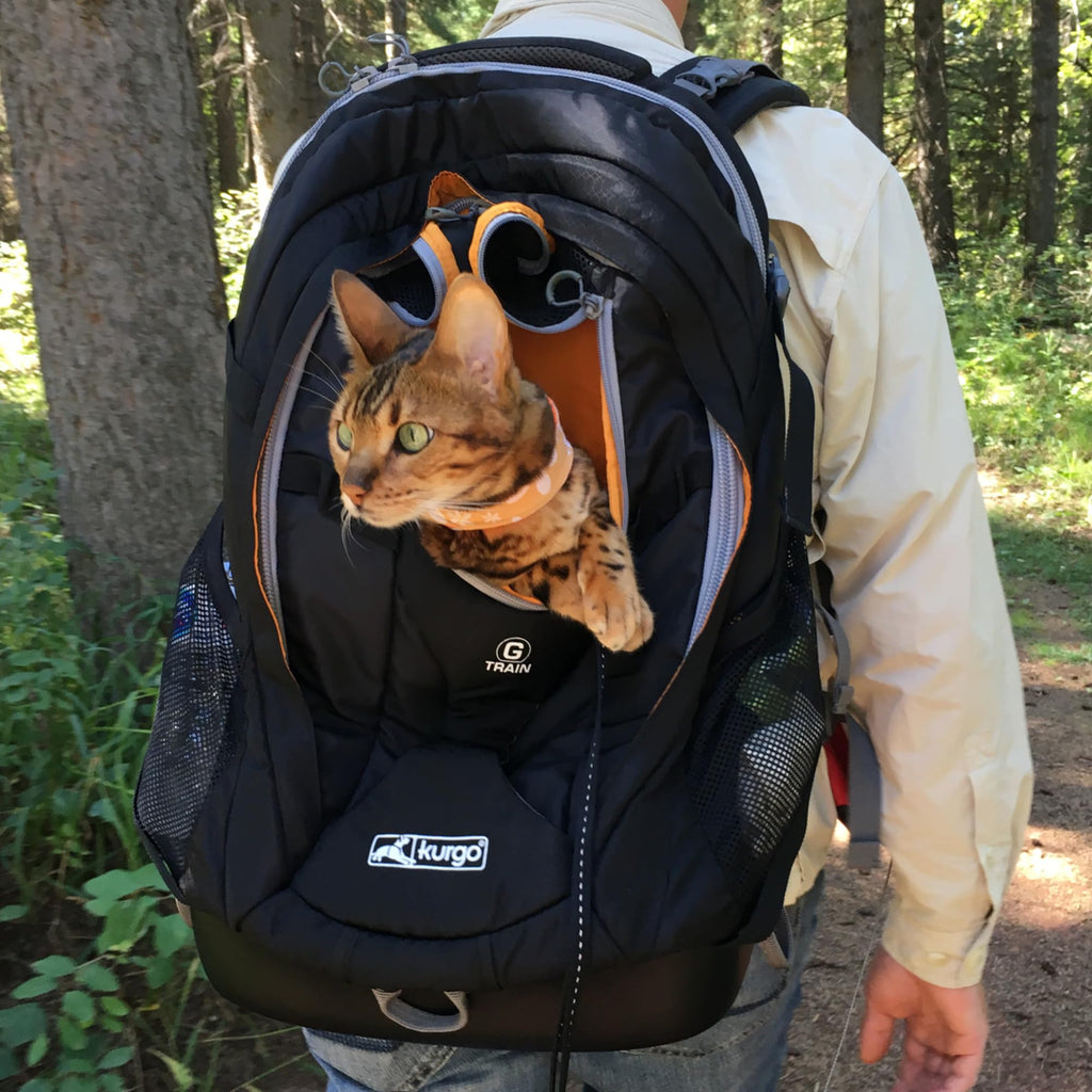 Black Pet Carrier Backpack W53391