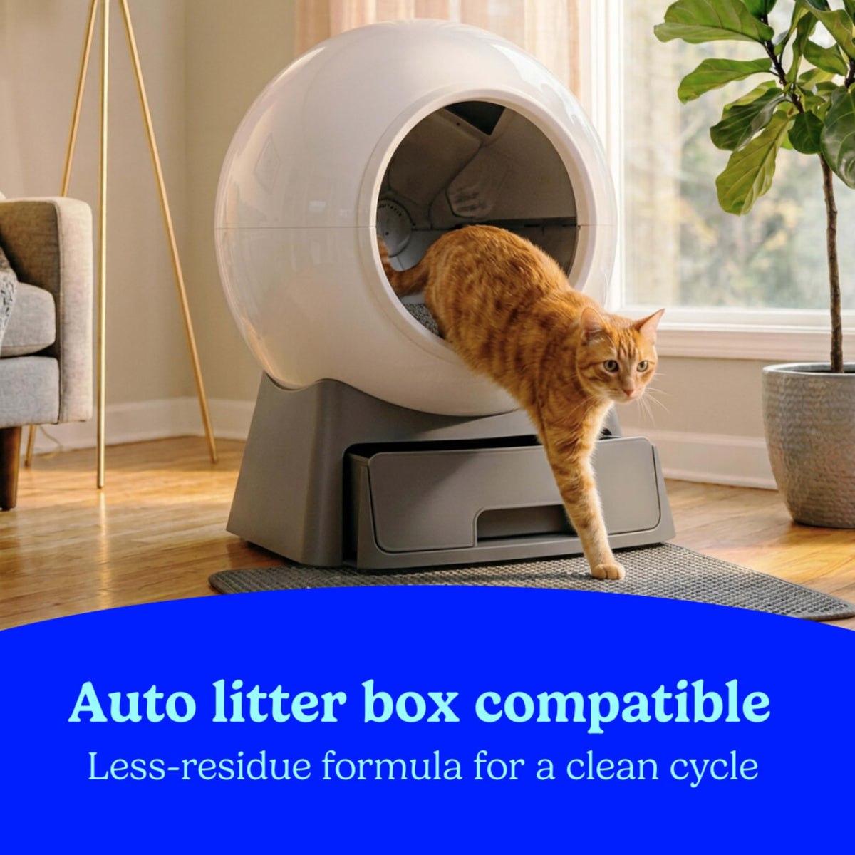 Clumping Multi Cat Litter with Carbon, 22 lb. B653