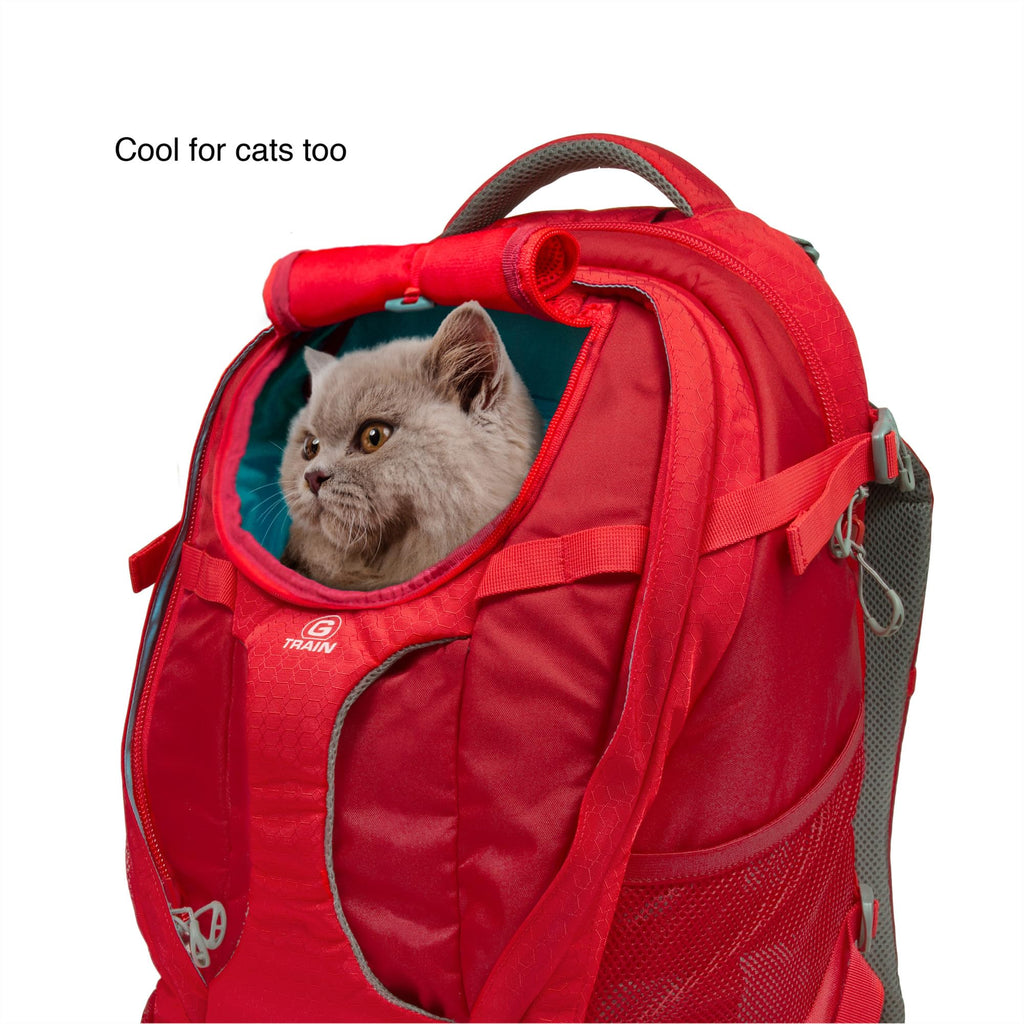 Black Pet Carrier Backpack W53391
