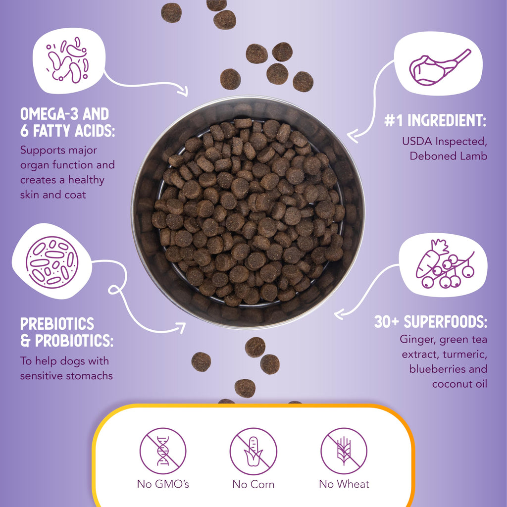 Lamb & Brown Rice Dry Dog Food with Probiotics 1 lb U5418