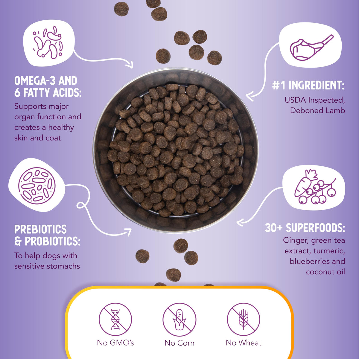 Lamb & Brown Rice Dry Dog Food with Probiotics 1 lb U5418
