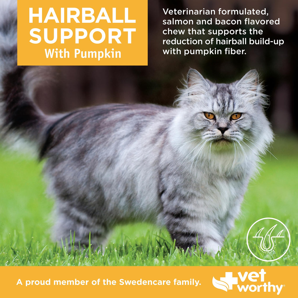 Hairball Support for Cats 60ct T785