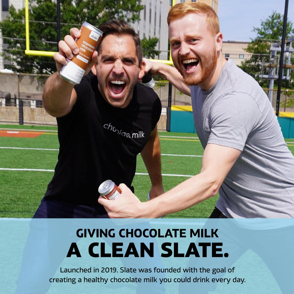 High Protein Milk Shake Classic Chocolate 12 Cans 11 fl oz R755