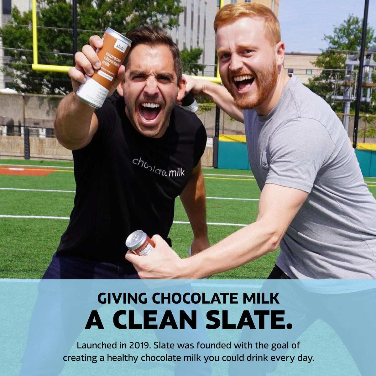 High Protein Milk Shake Classic Chocolate 12 Cans 11 fl oz R755