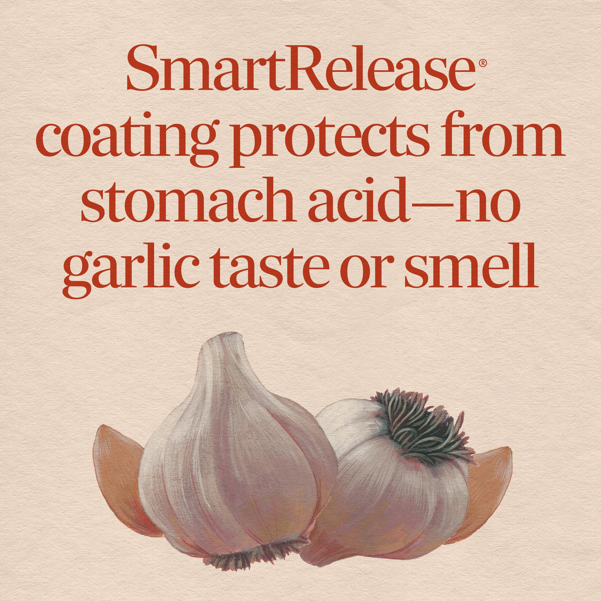 Odorless Garlic Tablets Vegan 180 ct C534452
